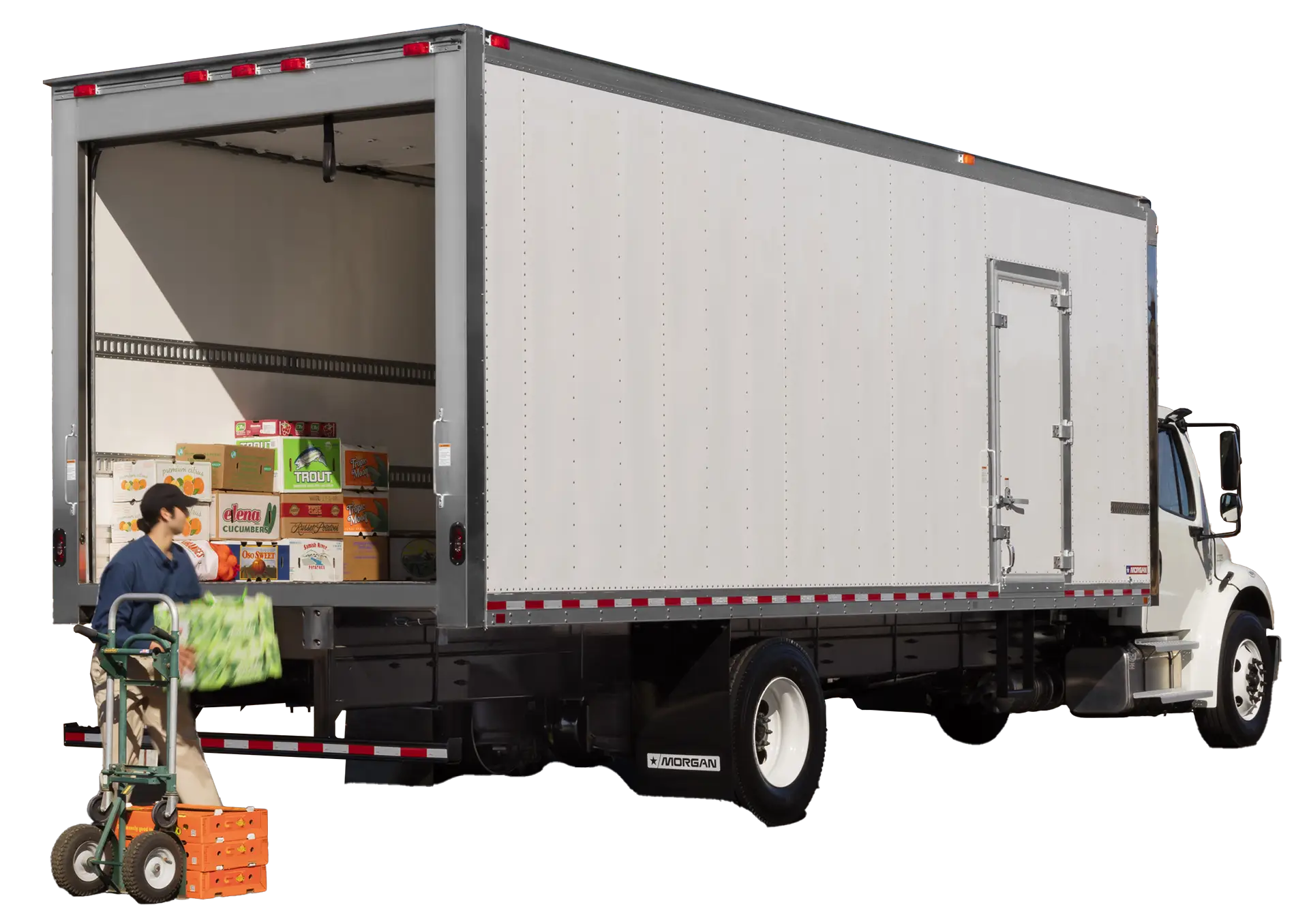 Morgan dry freight truck body